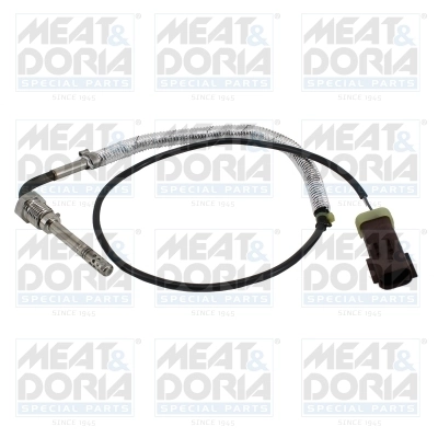 Sensor, exhaust gas temperature